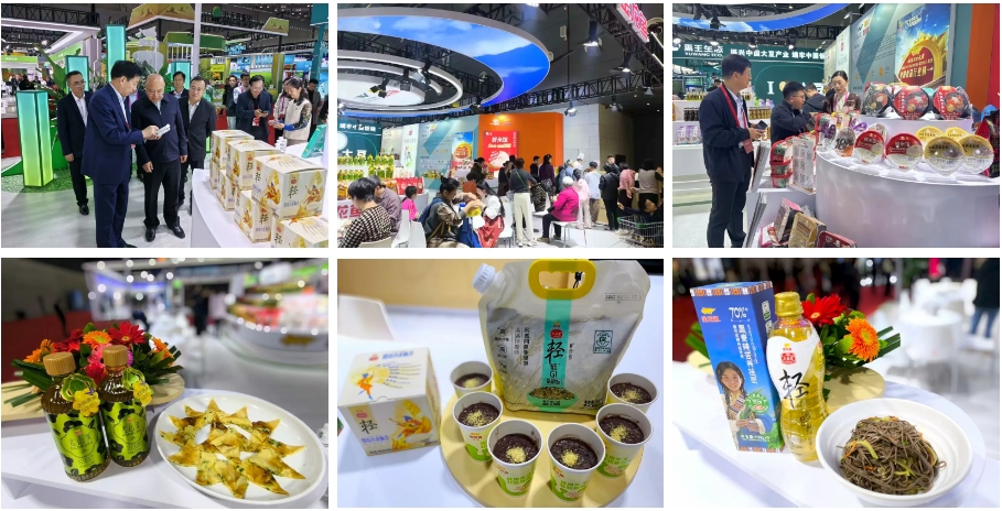 ÉÁÖÎè»á¹ÙÍø-×·Çó¿µ½¡,ÄãÎÒÒ»ÆðÉú³¤