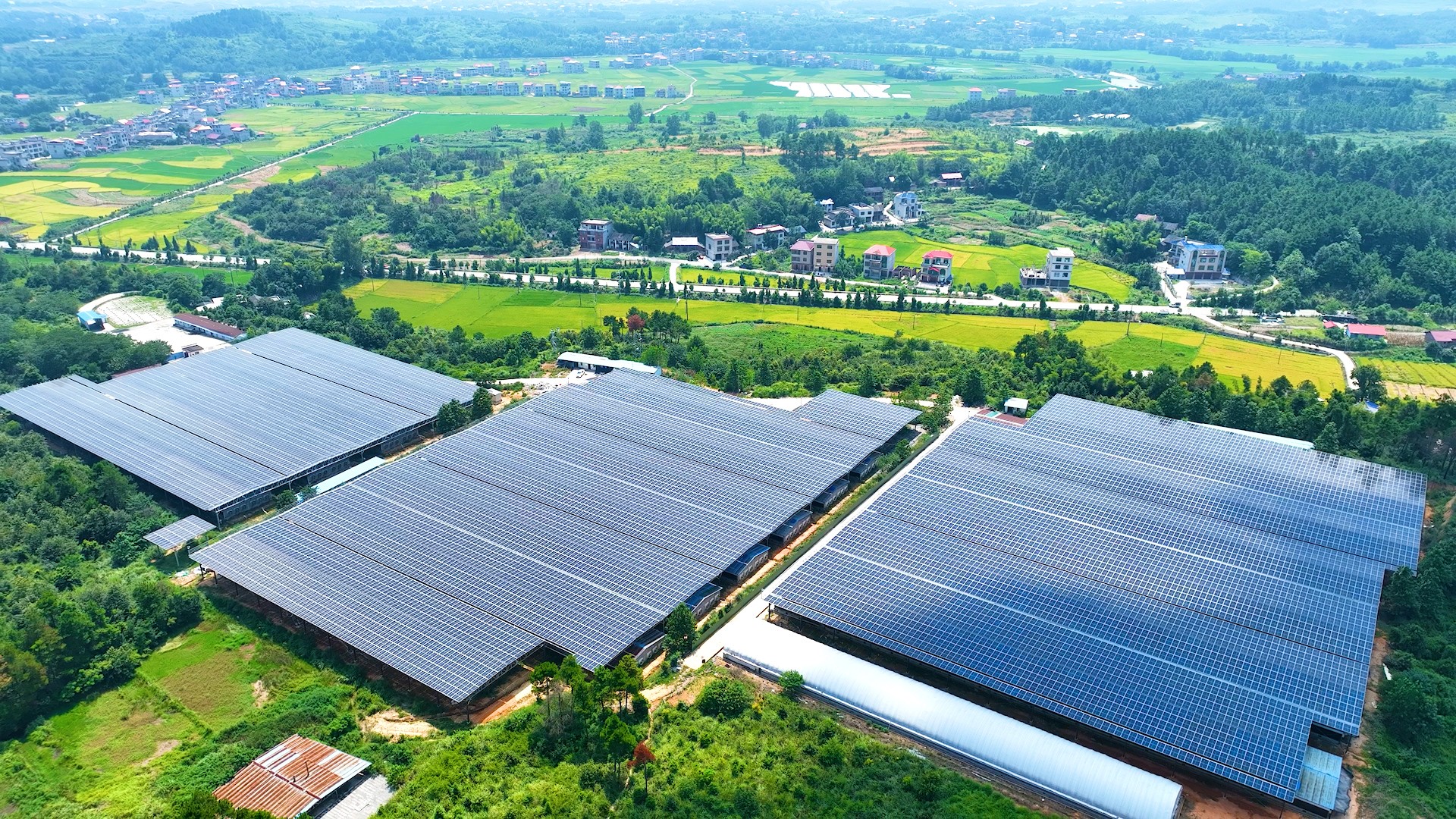 �ⰺ���� | �����˶���������������