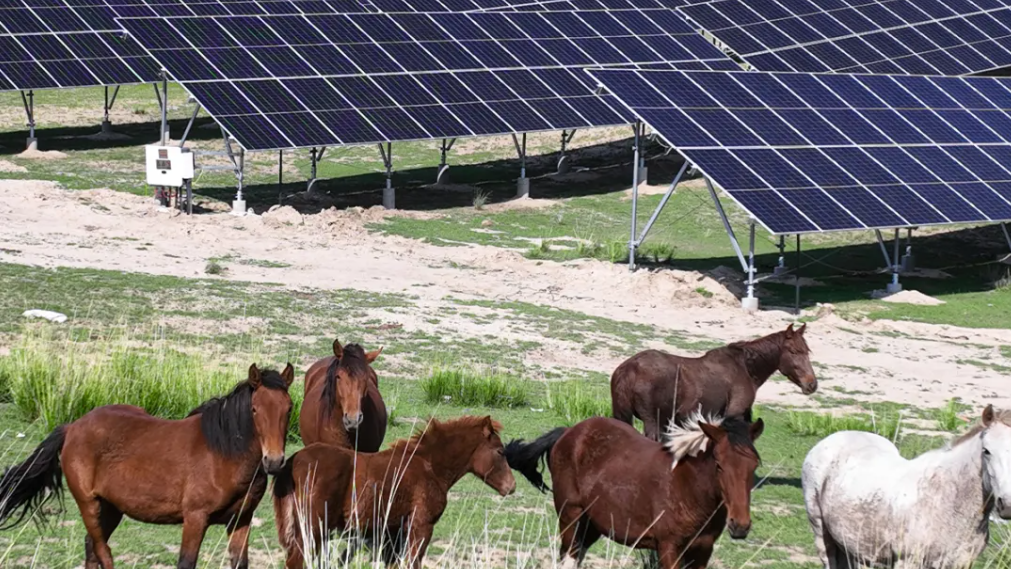 �ⰺ���� | �����˶���������������